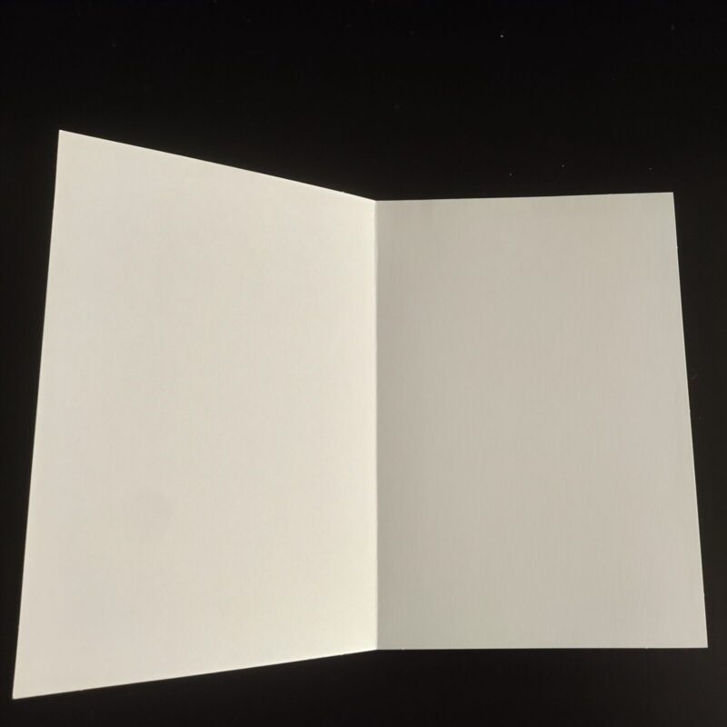 shine your light blank hallmark greeting card w/envelope multiply occasions