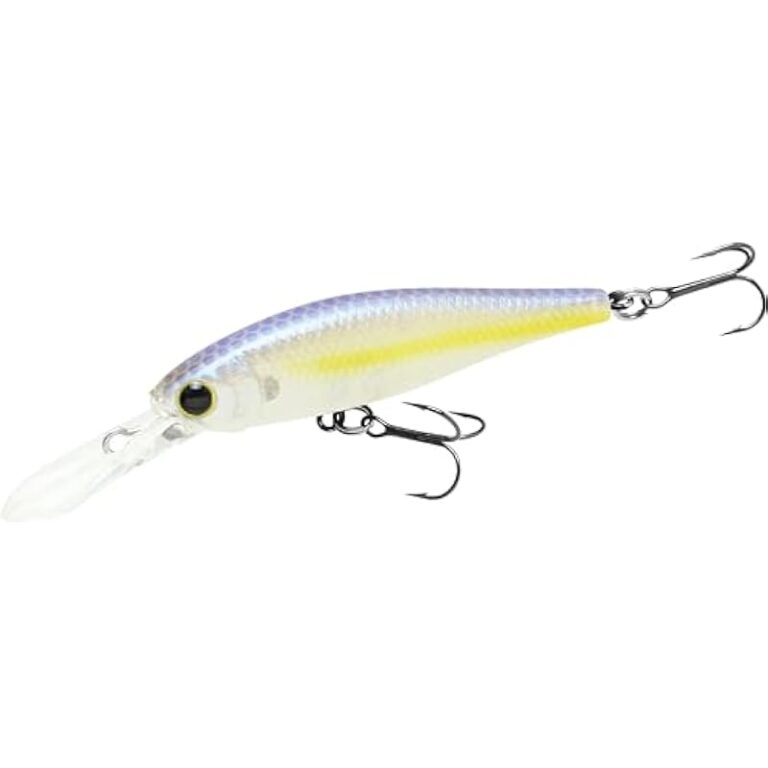 219rld79i7l. ac us800 .jpg