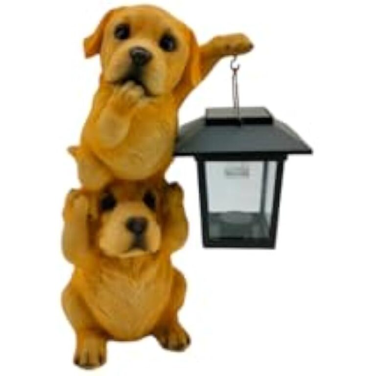 21tuct9wrrl. ac us800 .jpg