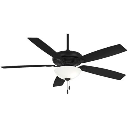 21xtemv0bgl. ac us800 .jpg