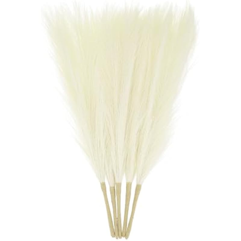 21mx rcvdul. ac us800 3.jpg