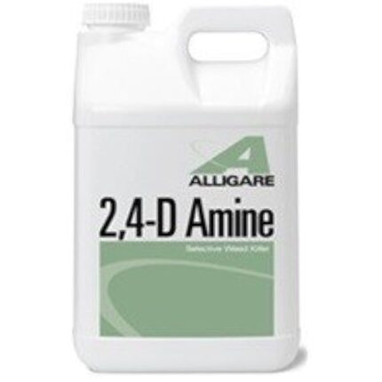 21we8mpvnvl. ac us800 .jpg