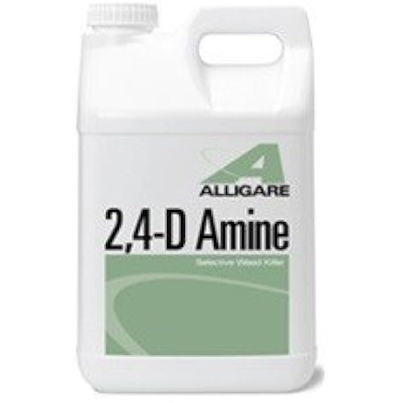 21we8mpvnvl. ac us800 .jpg