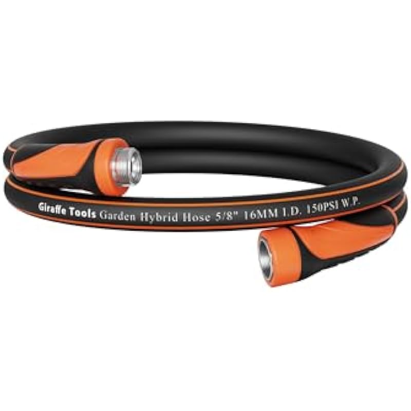 31 bjwbtgwl. ac us800 .jpg