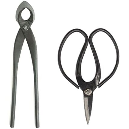 31amcmcz0tl. ac us800 .jpg