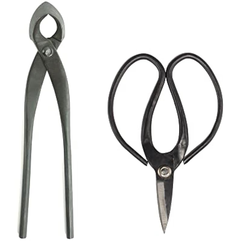 31amcmcz0tl. ac us800 .jpg