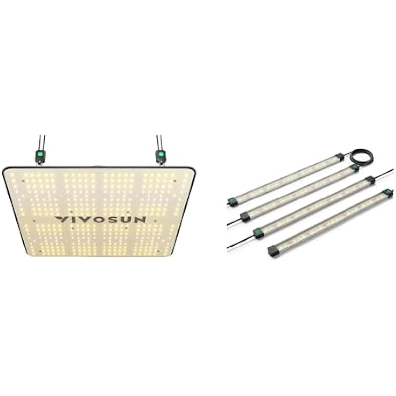 31cdebc4g3l. ac us800 .jpg