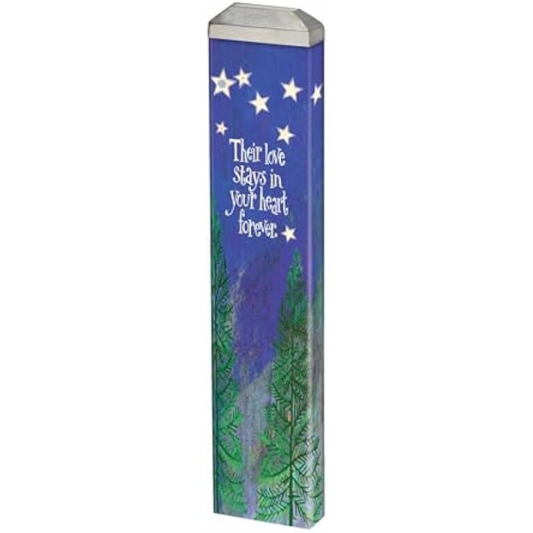 31evxso0v l. ac us800 .jpg