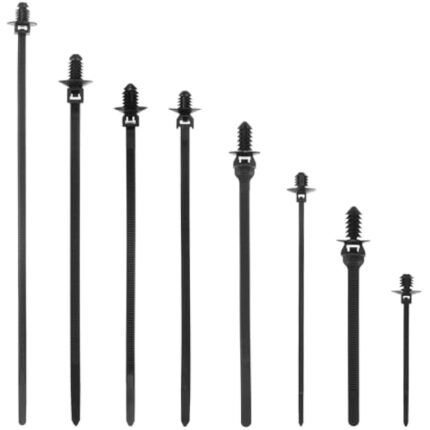 31fy9wnelgl. ac us800 .jpg