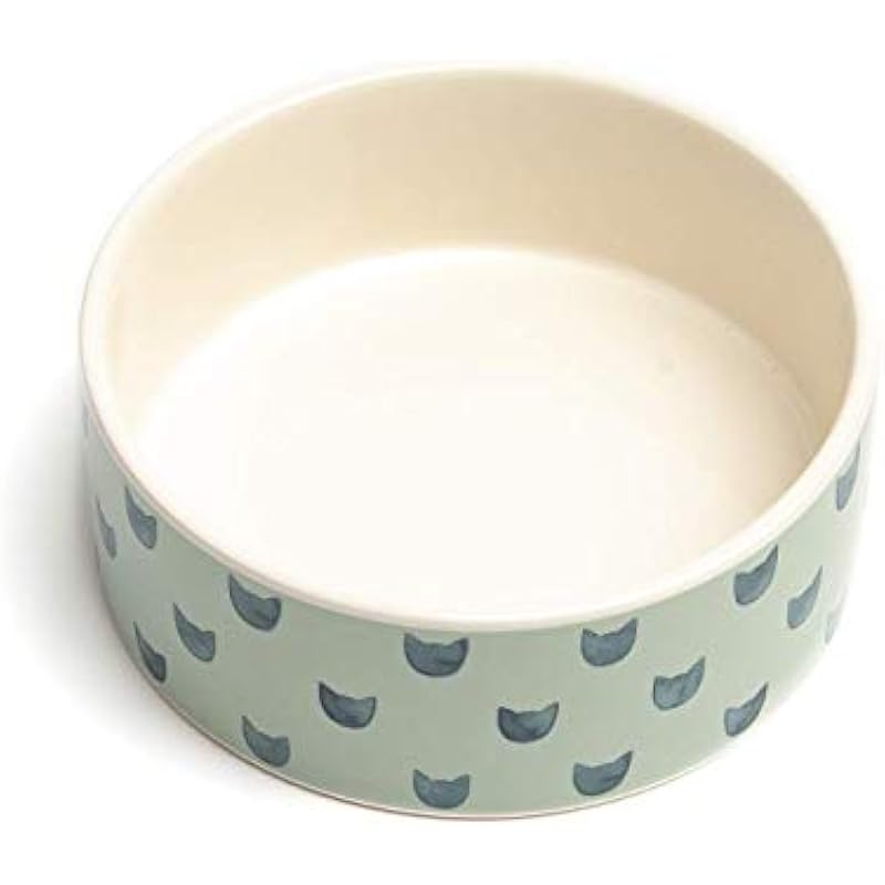 31fpfpwpqsl. ac us800 .jpg