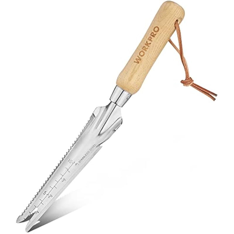 31ixsganobl. ac us800 .jpg