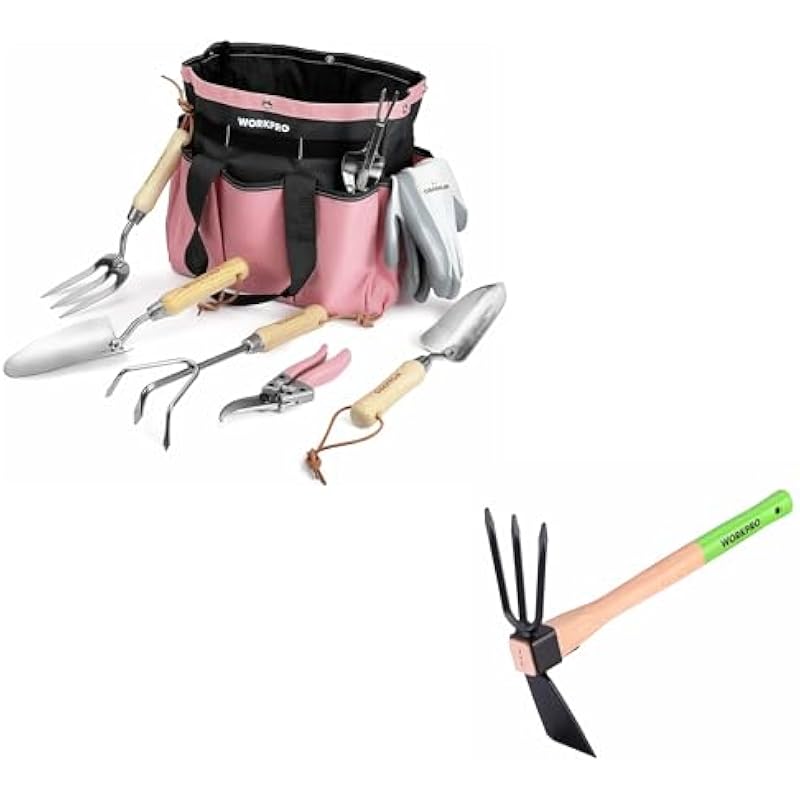 31lgxty obl. ac us800 .jpg