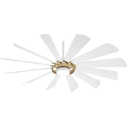 31mvjfn nwl. ac us800 .jpg