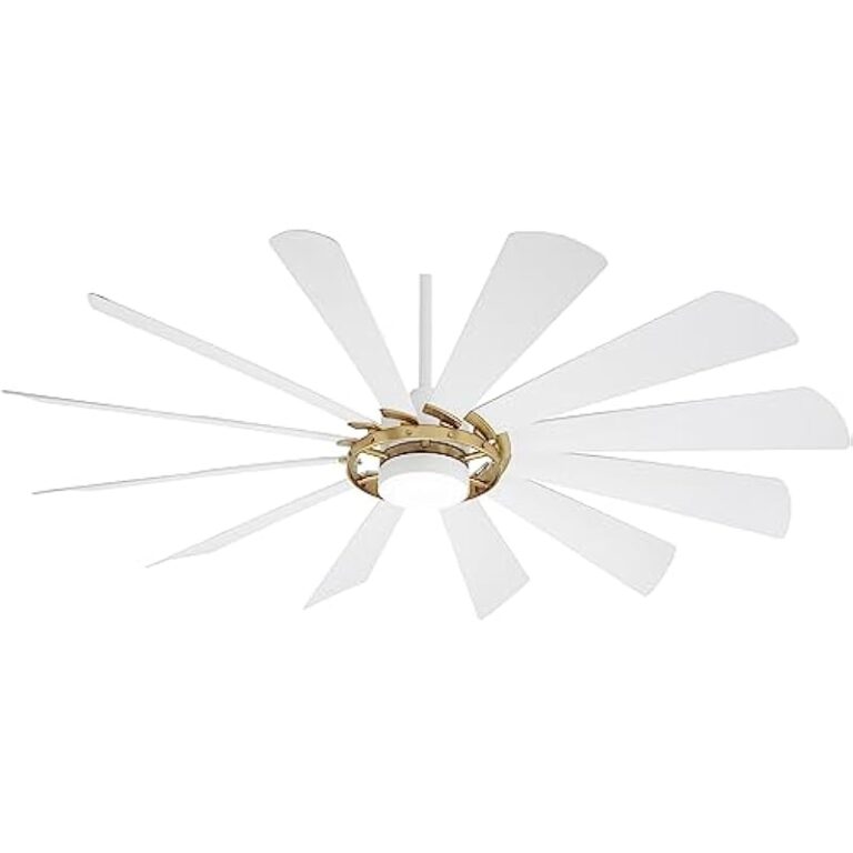 31mvjfn nwl. ac us800 .jpg