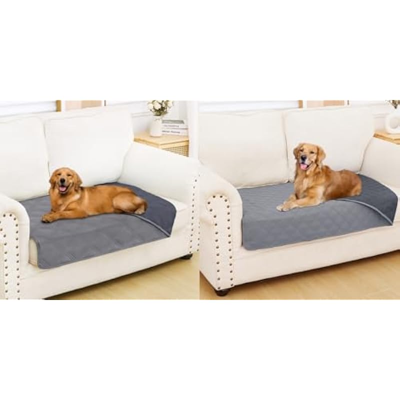 31q2izfhl. ac us800 .jpg