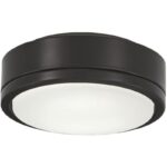 31flollf6ml. ac us800 .jpg