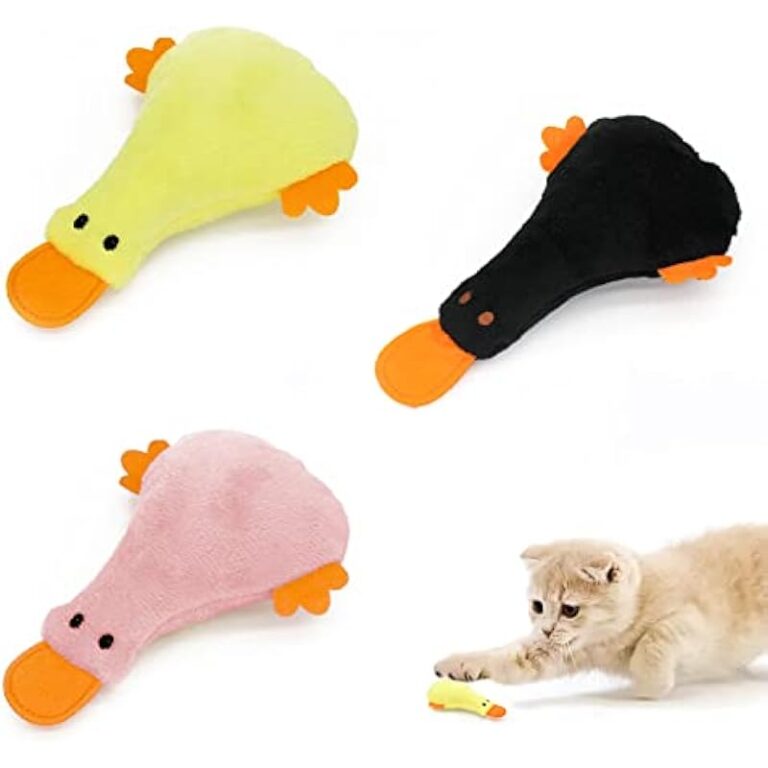 31kcyxwxryl. ac us800 .jpg