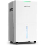 31mwv7x4lyl. ac us800 .jpg