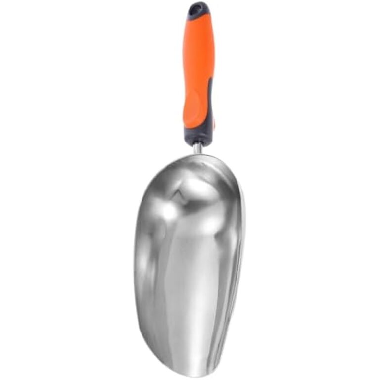 31n5ievf2ul. ac us800 .jpg