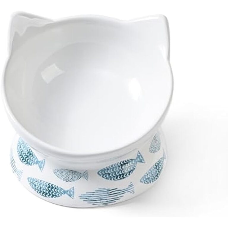 31oalwlphml. ac us800 .jpg