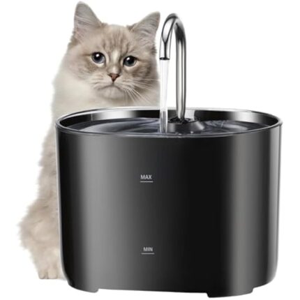 31raoawdgvl. ac us800 .jpg