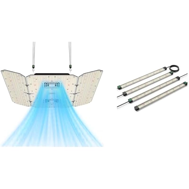 31rx8vq29il. ac us800 .jpg