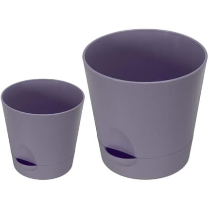 31tu0c0eqsl. ac us800 .jpg