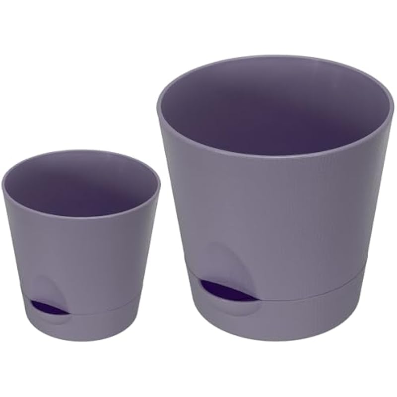 31tu0c0eqsl. ac us800 .jpg