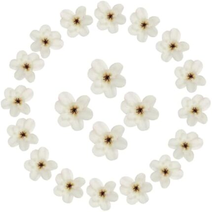 31w3lsmj4l. ac us800 .jpg