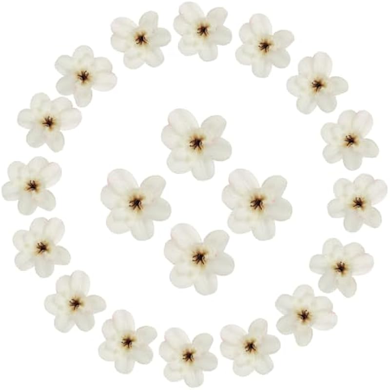 31w3lsmj4l. ac us800 .jpg