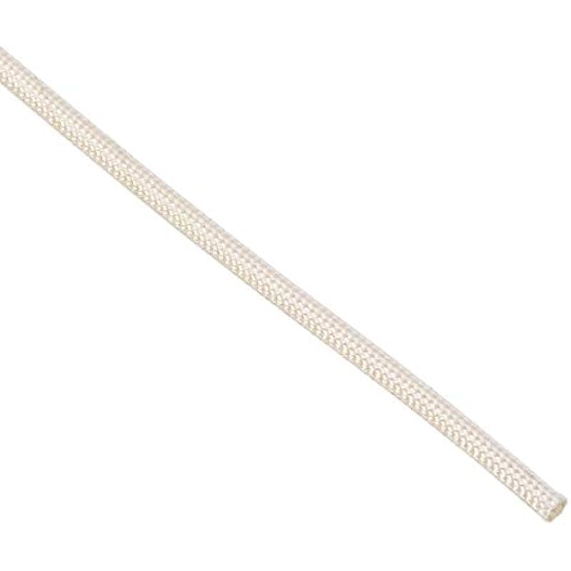 31x7cohzbtl. ac us800 .jpg