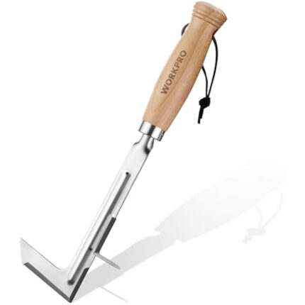 31xay2kofpl. ac us800 .jpg