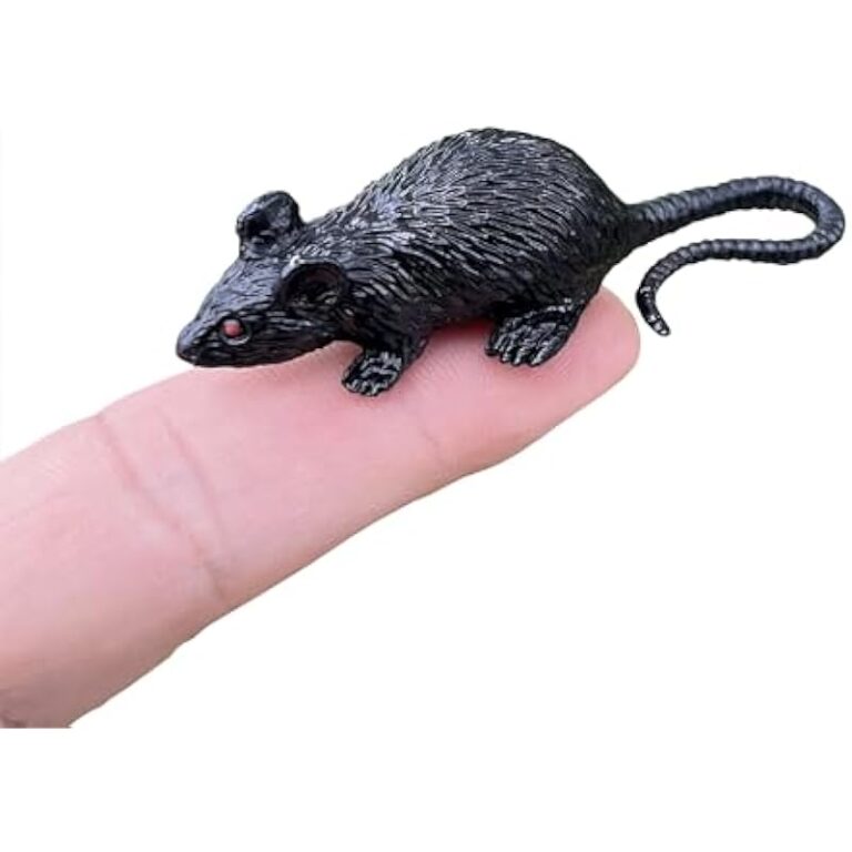 31xizlrbqgl. ac us800 .jpg