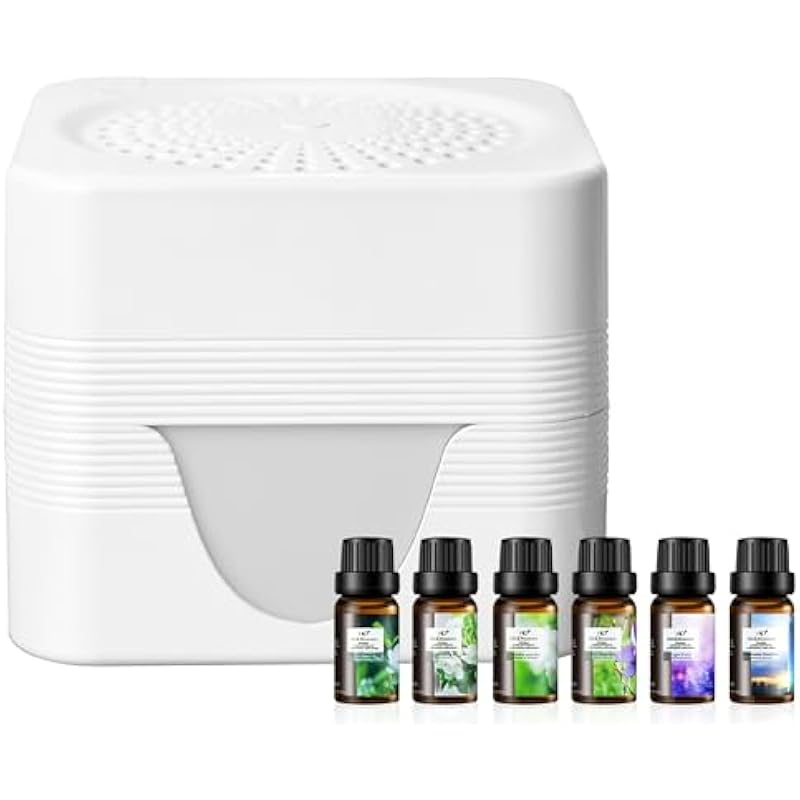 31y06Kcd6hL._AC_US800_.jpg 31y06kcd6hl. ac us800 .jpg