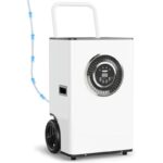 31zqmpzuy9l. ac us800 .jpg