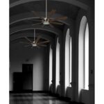 411tnudyudl. ac us800 .jpg