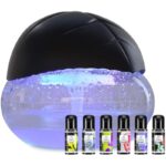 411zmyrbj2l. ac us800 .jpg