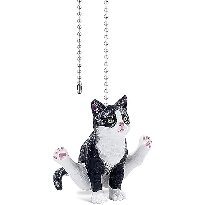 413qHJjASgL._AC_US800_.jpg 413qhjjasgl. ac us800 .jpg