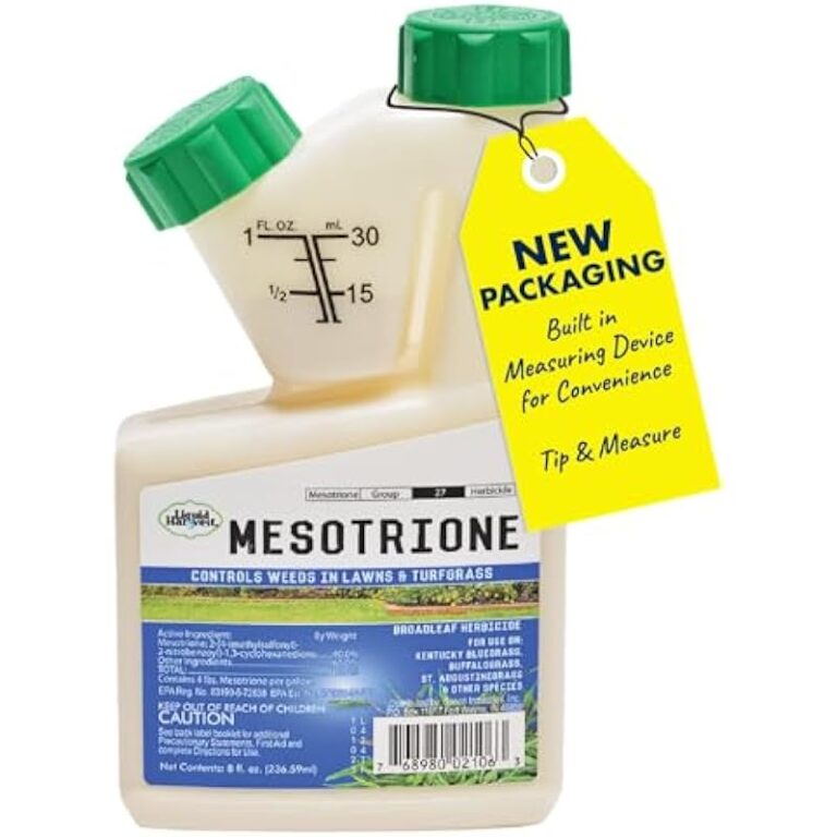 414caayp4fl. ac us800 .jpg