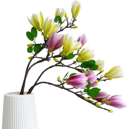 414nubhbyl. ac us800 .jpg