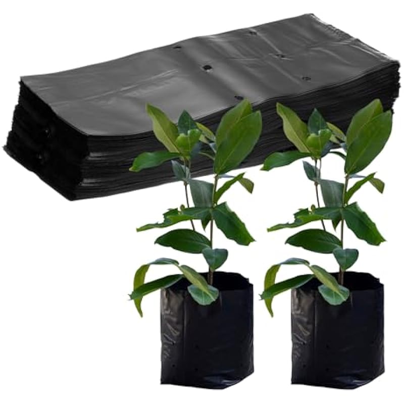 414qlmihmnl. ac us800 .jpg