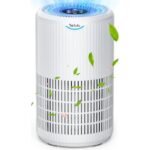 417tkvwmtxl. ac us800 .jpg