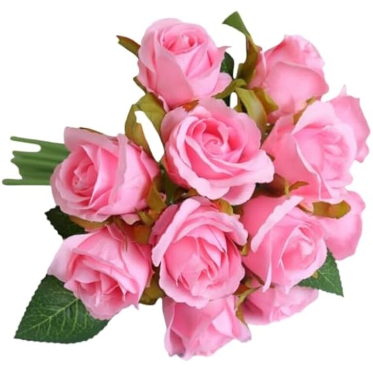 419pjee5ucl. ac us800 .jpg