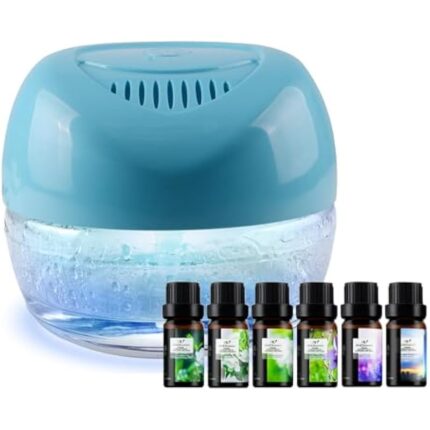 419bnedpp9l. ac us800 .jpg