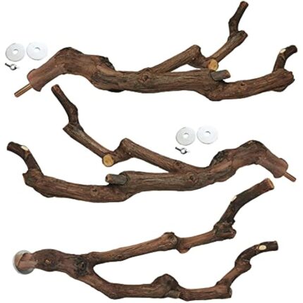 419hj3blptl. ac us800 .jpg