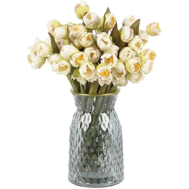 41atamzwlnl. ac us800 .jpg