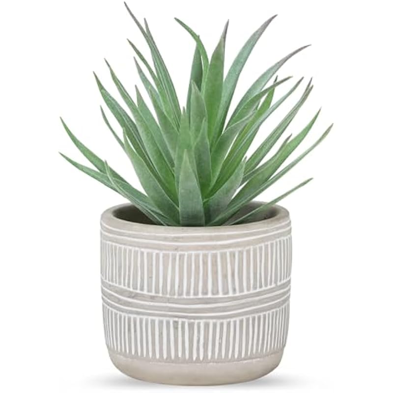 41auydapbel. ac us800 .jpg