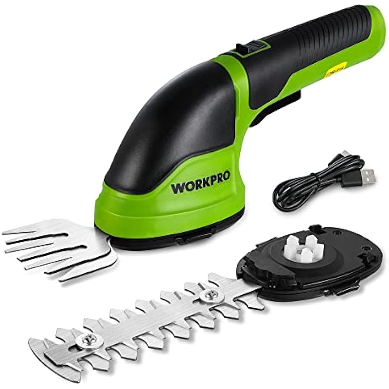 41av9qjqrdl. ac us800 .jpg