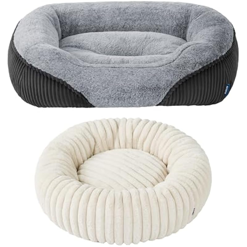 41acszvyh8l. ac us800 .jpg