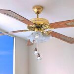 41afbhwakbl. ac us800 .jpg